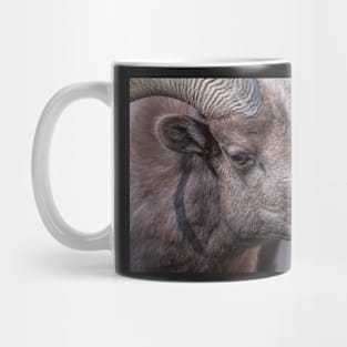 Sheep eye Mug